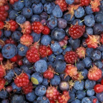 11 продуктов, которые продлят вашу молодость