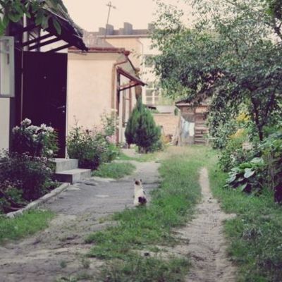Как я испортила своего первого мужа