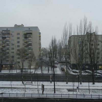 Почему я не люблю квартиры на первом этаже?