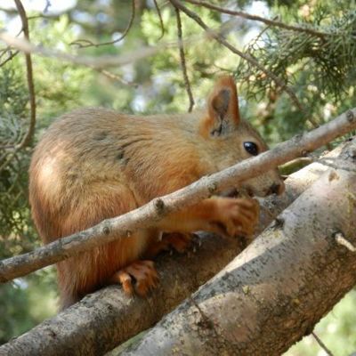 5 моих подростковых ошибок похудения