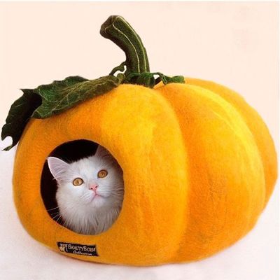 15 вариантов домиков для кошек