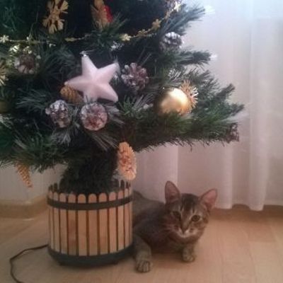 Новый год семейный праздник