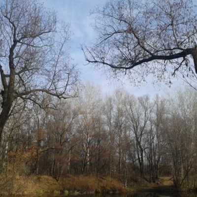 Мечта, реальность и надежда на чудо...