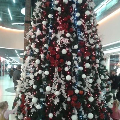 Мои планы на новогоднюю ночь