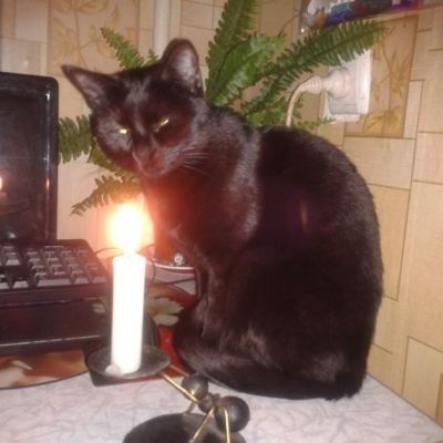 Рождественские гадания