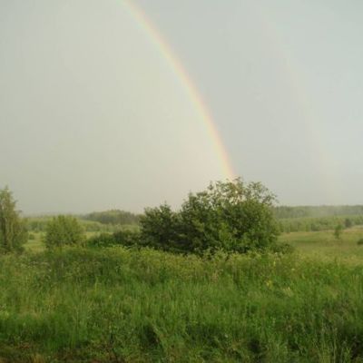 Мои вещие сны