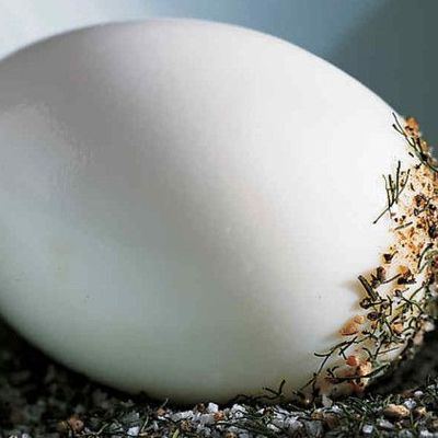 Как правильно сварить яйца вкрутую - проверенный рецепт