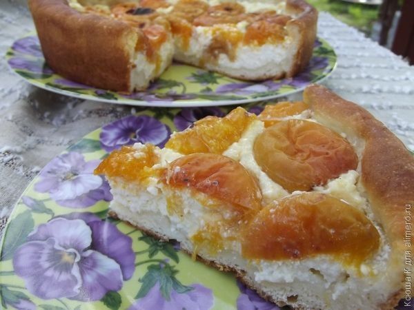творожный пирог с абрикосами