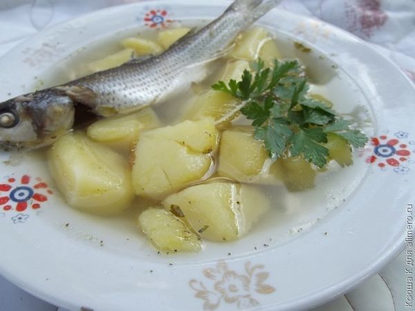 рыбный суп в мультиварке