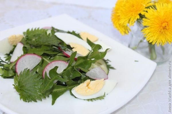 Проверенный рецепт салата из цветов одуванчиков с пошаговыми фото