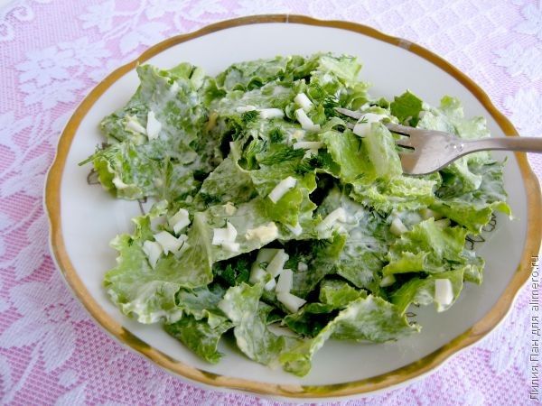 Простые зеленые салаты