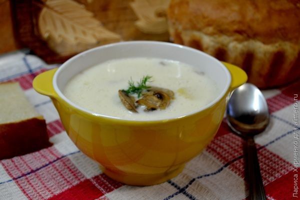 рецепт сырно-грибного супа