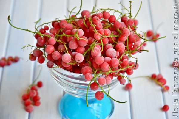 Шоковая заморозка ягод — идеальное сохранение продукта